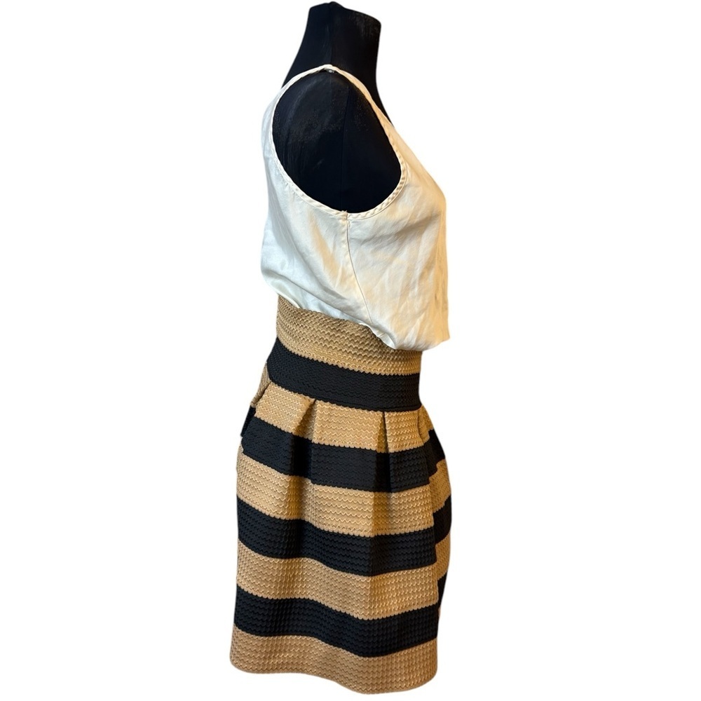 Neslay Designer Stylish Black and Tan Striped Skirt - Picture 8 of 16